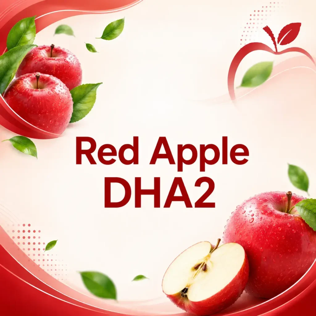 Square Red Apple DHA2 thumbnail featuring glossy red apples, sliced apple, green leaves, red decorative curves, and centered “Red Apple DHA2” text.